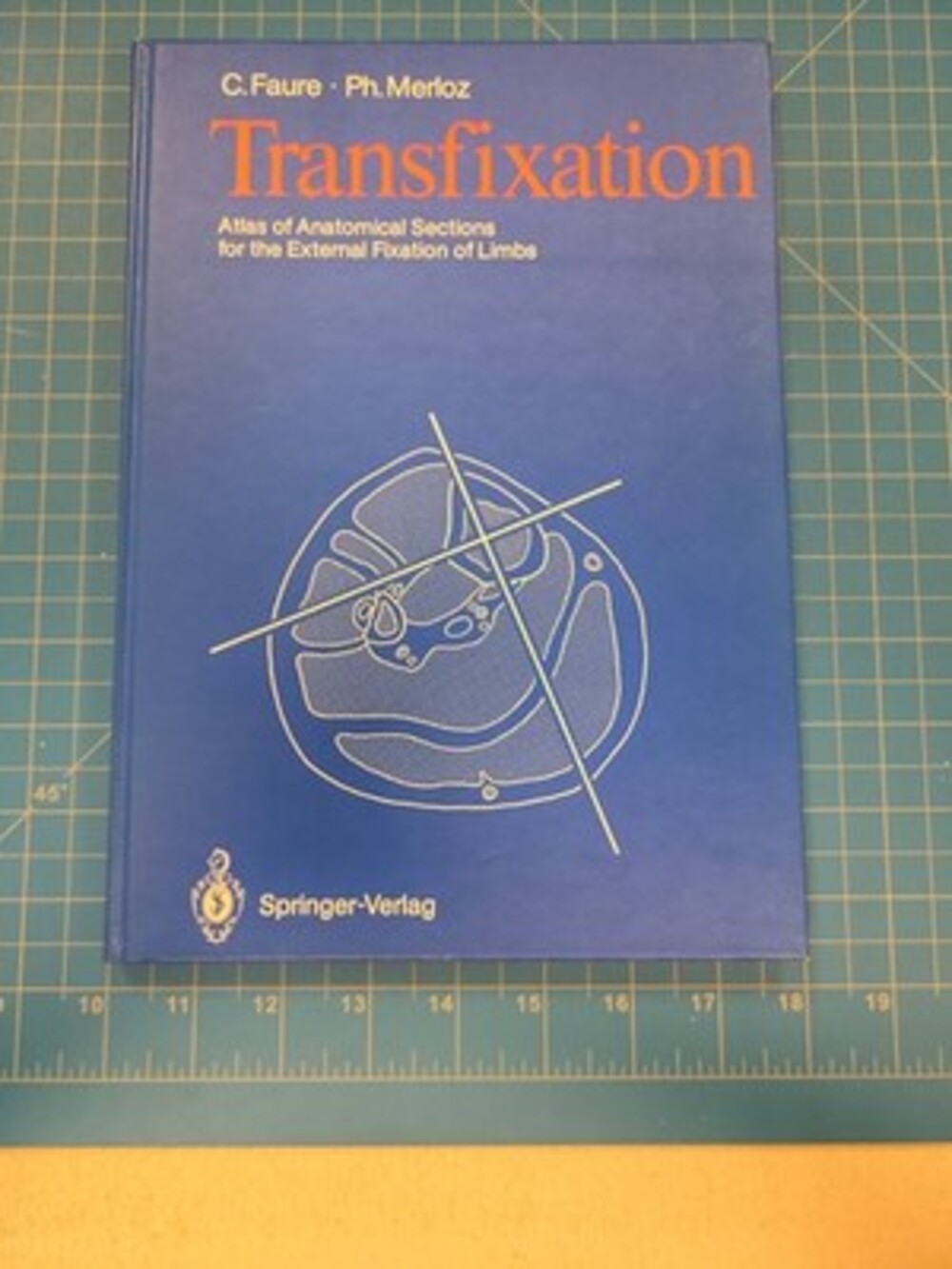 Faure Merloz Transfixation Atlas Anatomical Sections Limbs Springer-Verlag 1987